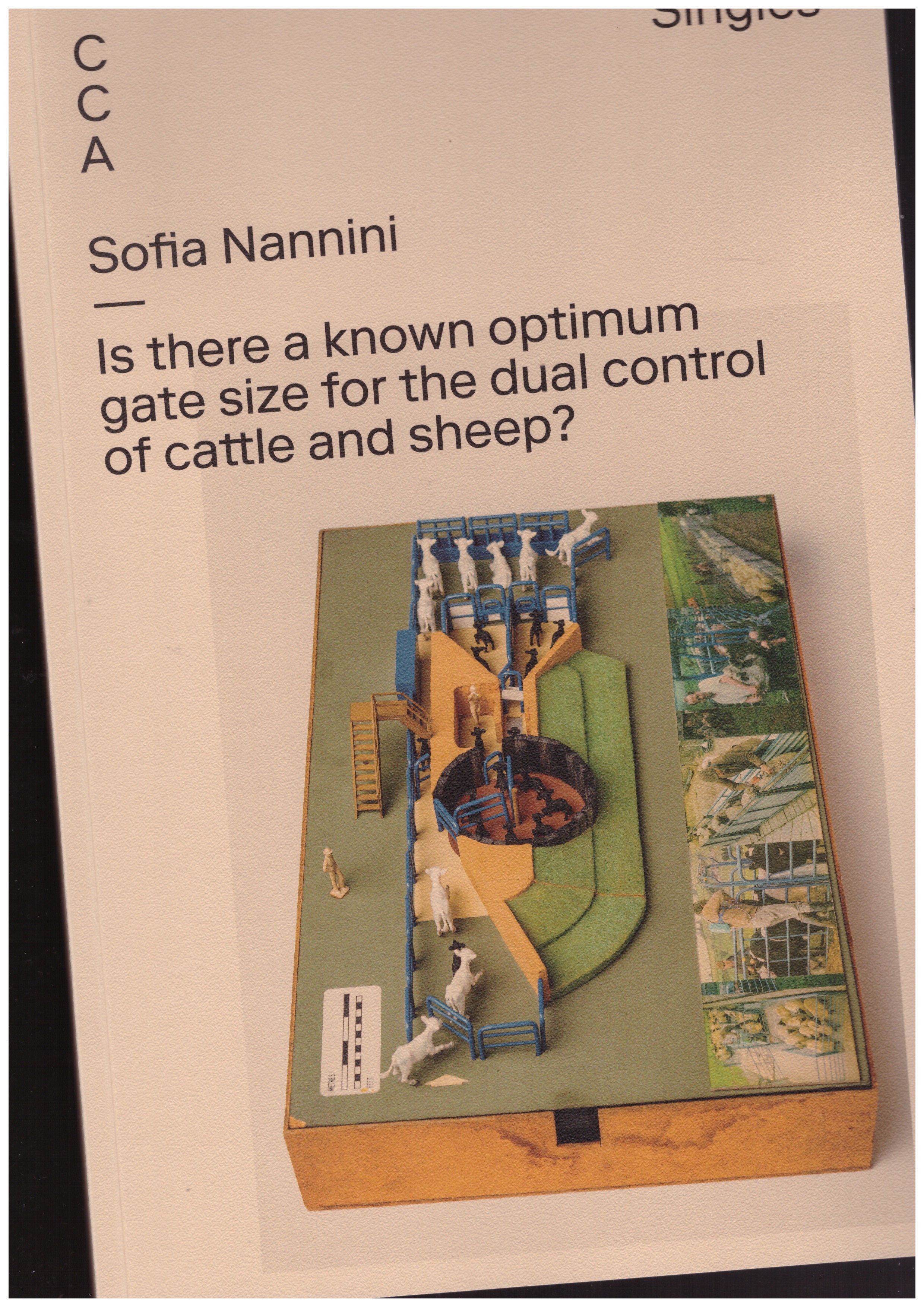 NANNINI, Sofia - CCA Singles – Is there a known optimum gate size for the dual control of cattle and sheep?